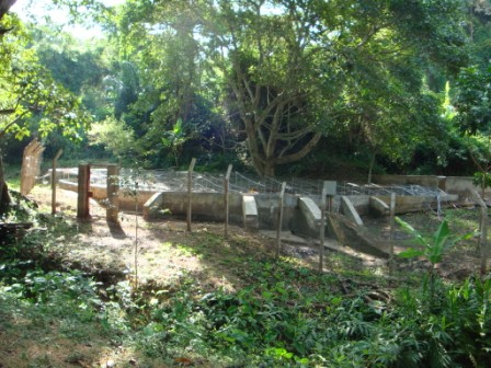 The spring is now covered and chlorinated
